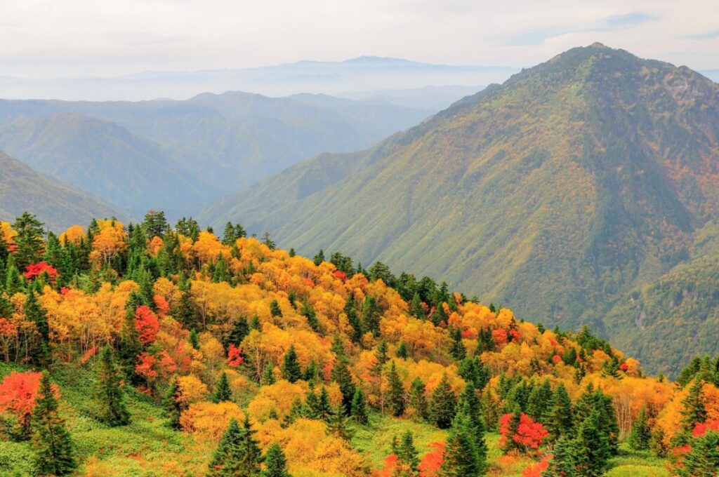 日本が大好きになる図書館 | Fall in love with Japan, Library