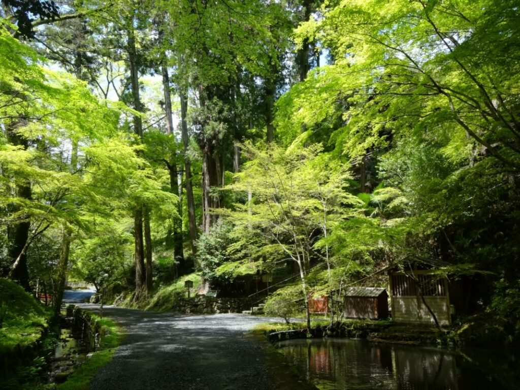 日本が大好きになる図書館 | Fall in love with Japan, Library