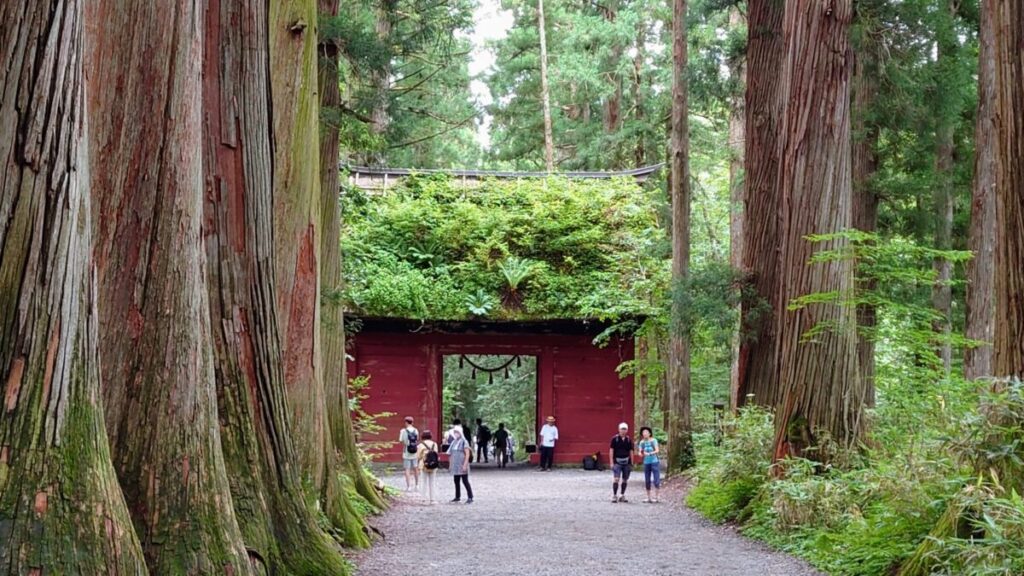 日本が大好きになる図書館 | Fall in love with Japan, Library