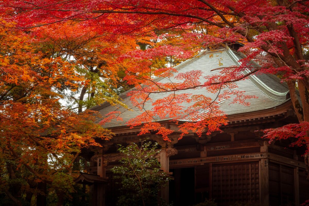 日本が大好きになる図書館 | Fall in love with Japan, Library