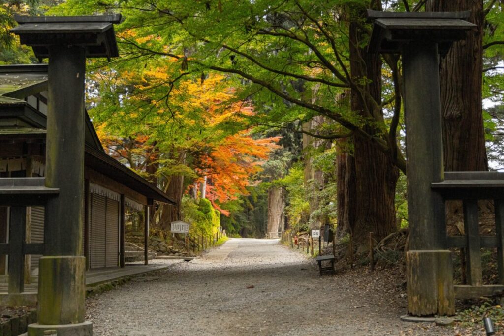 日本が大好きになる図書館 | Fall in love with Japan, Library