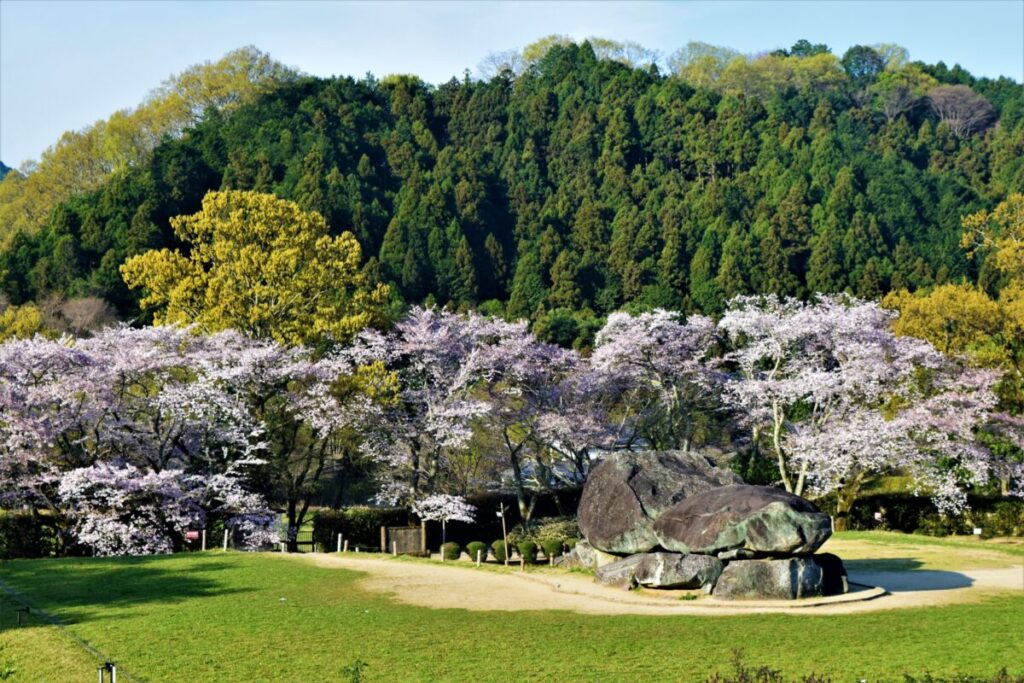 日本が大好きになる図書館 | Fall in love with Japan, Library