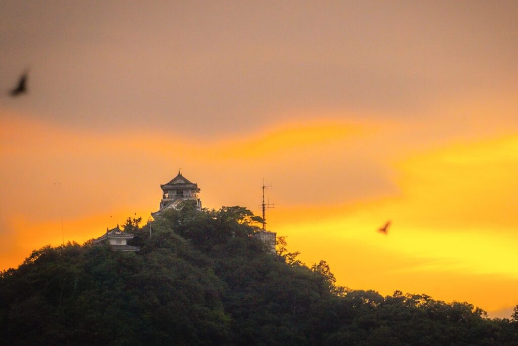 日本が大好きになる図書館 | Fall in love with Japan, Library