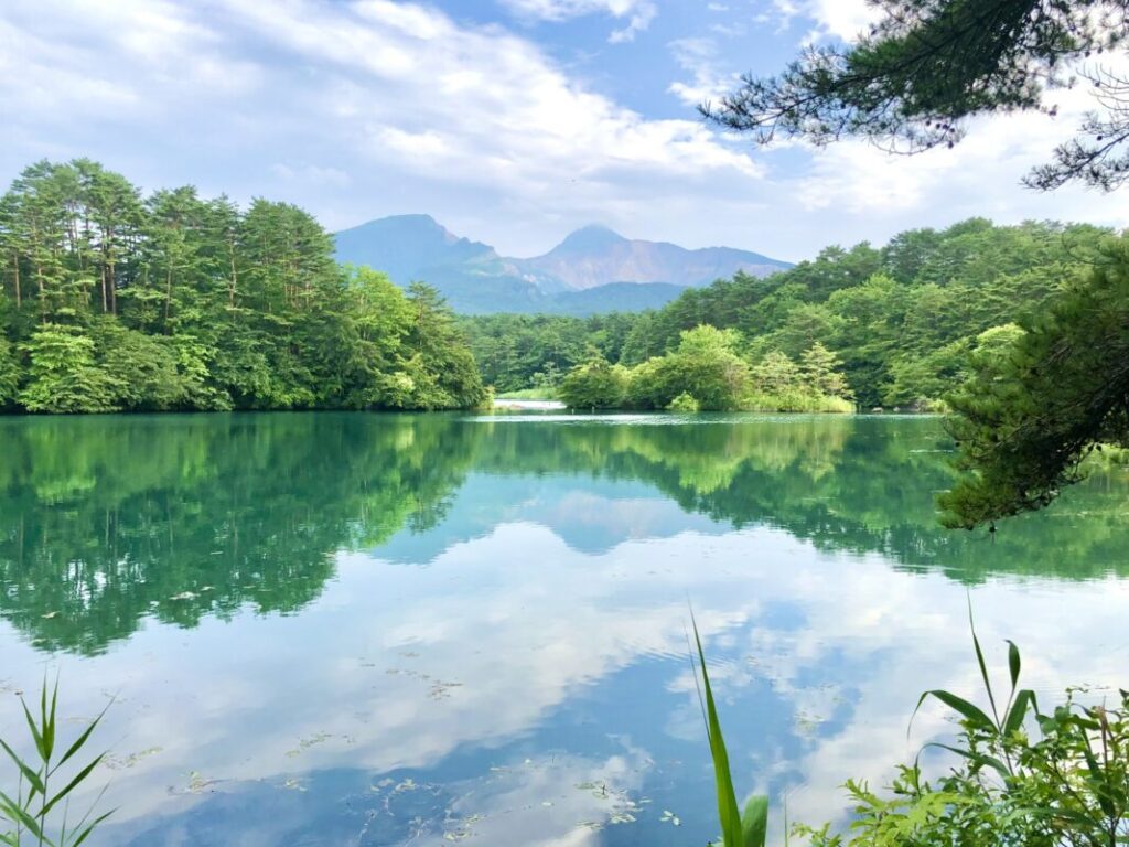 日本が大好きになる図書館 | Fall in love with Japan, Library