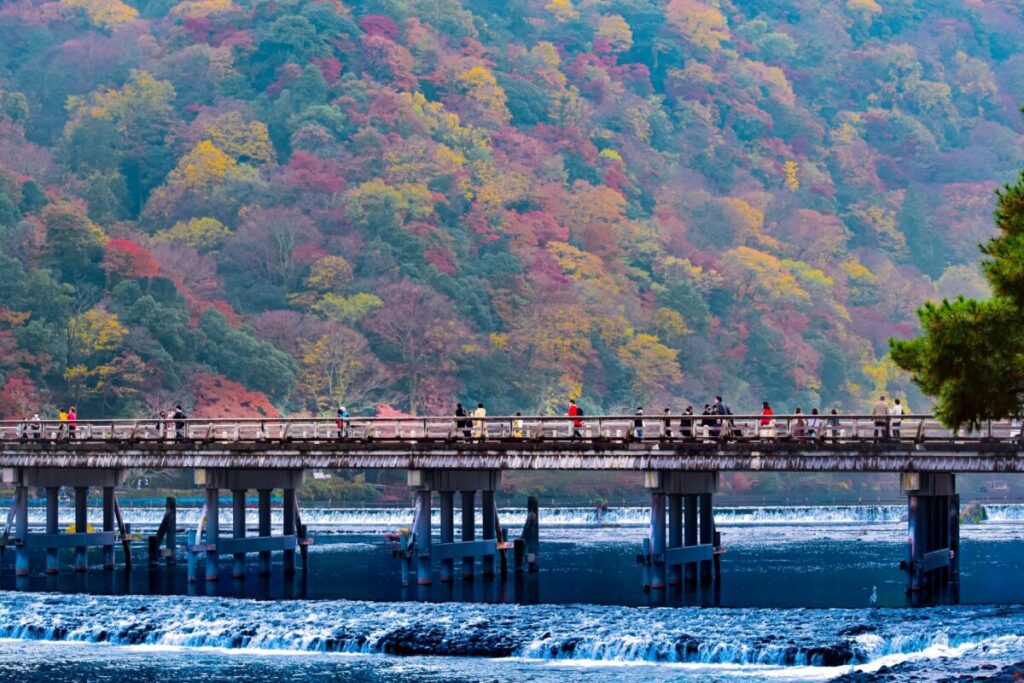 日本が大好きになる図書館 | Fall in love with Japan, Library