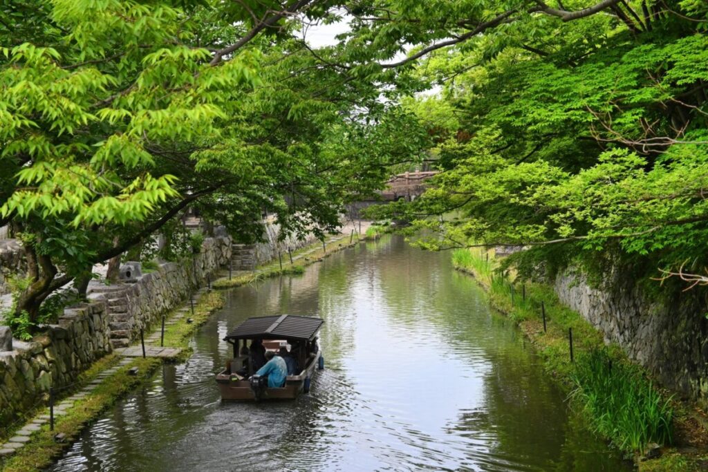 日本が大好きになる図書館 | Fall in love with Japan, Library