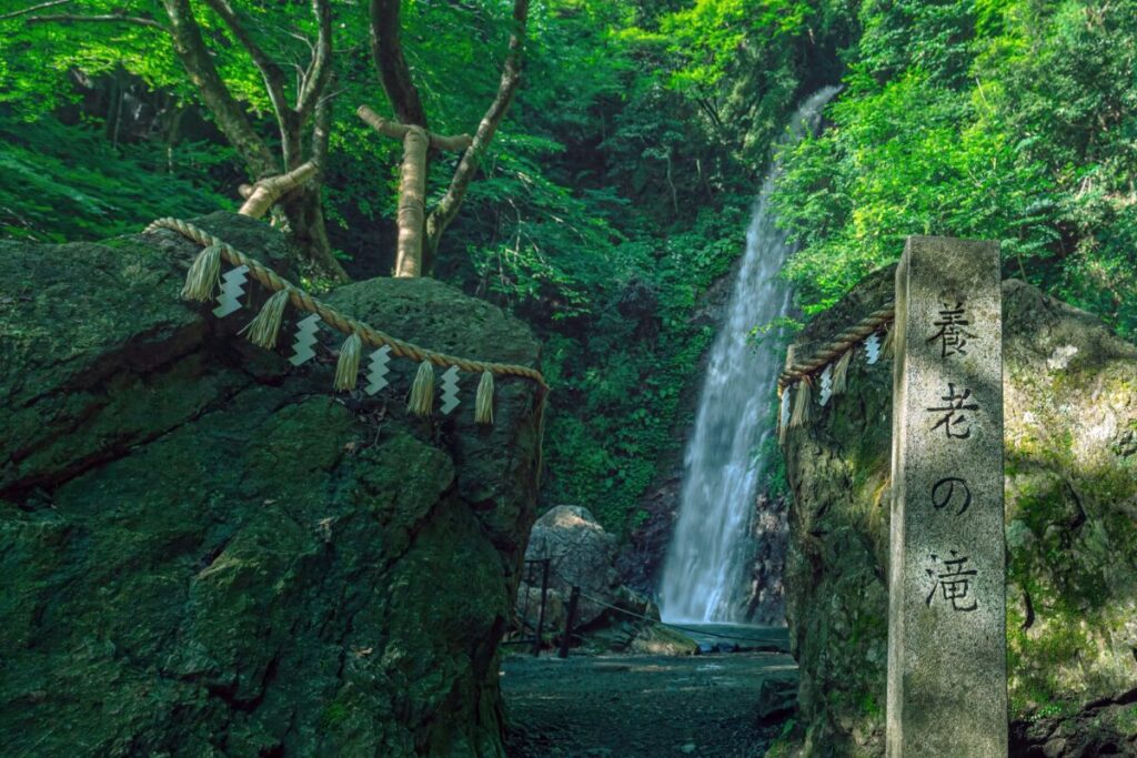 日本が大好きになる図書館 | Fall in love with Japan, Library