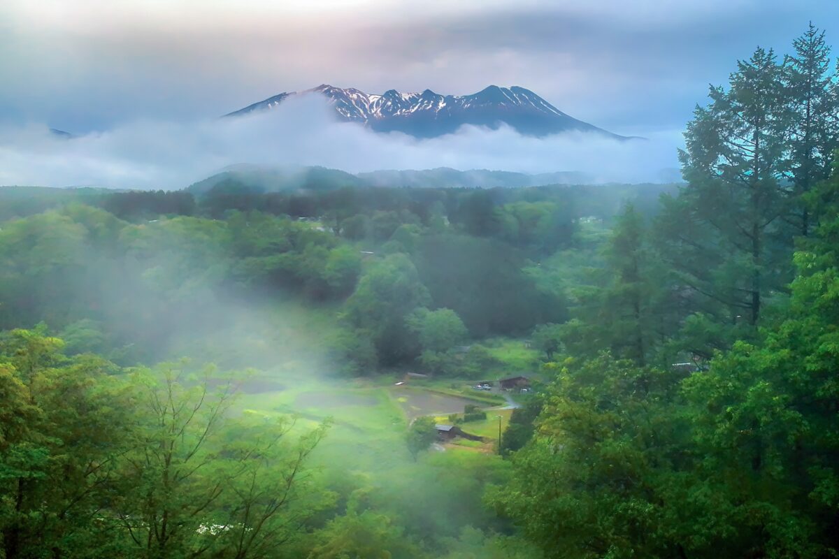 日本が大好きになる図書館 | Fall in love with Japan, Library