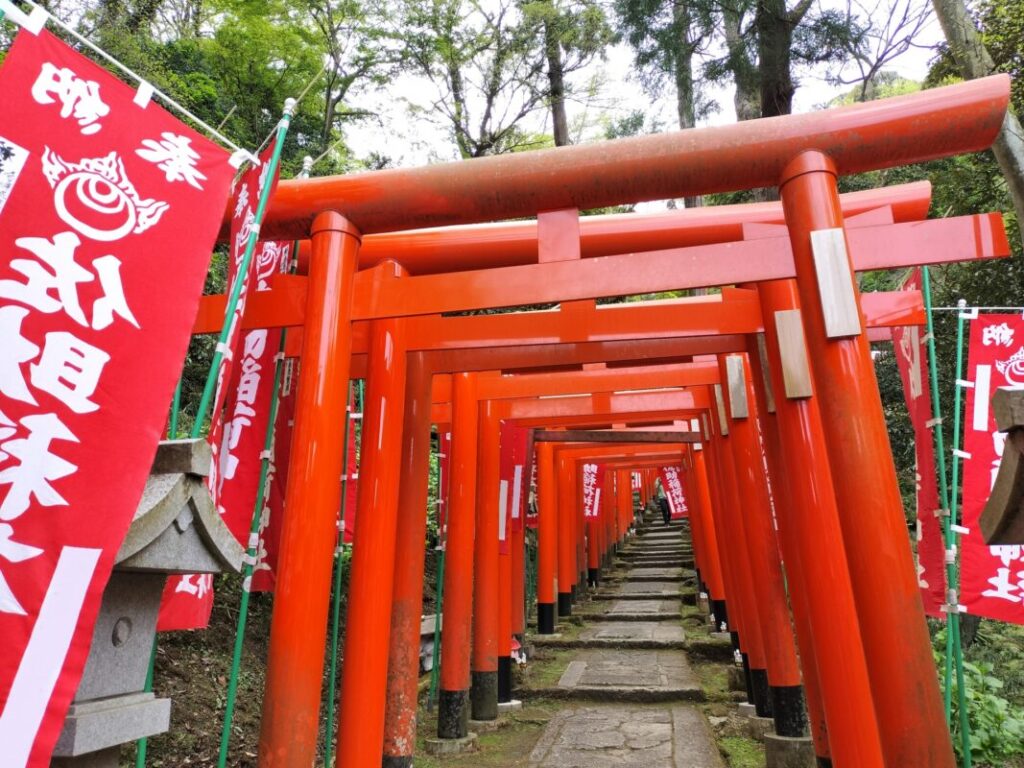 日本が大好きになる図書館 | Fall in love with Japan, Library