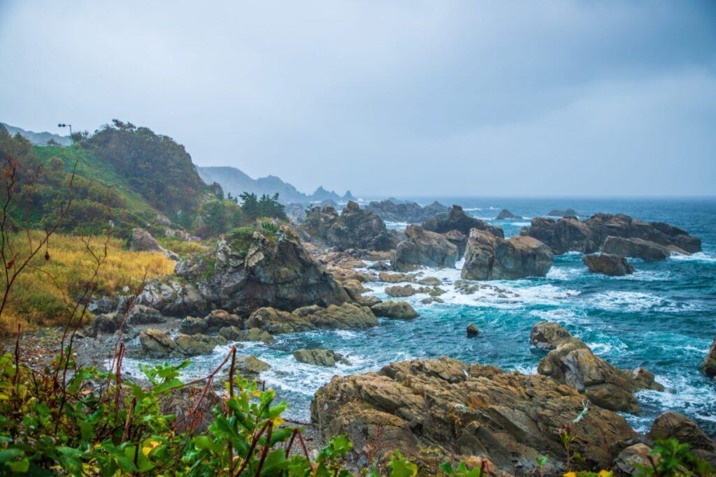 日本が大好きになる図書館 | Fall in love with Japan, Library