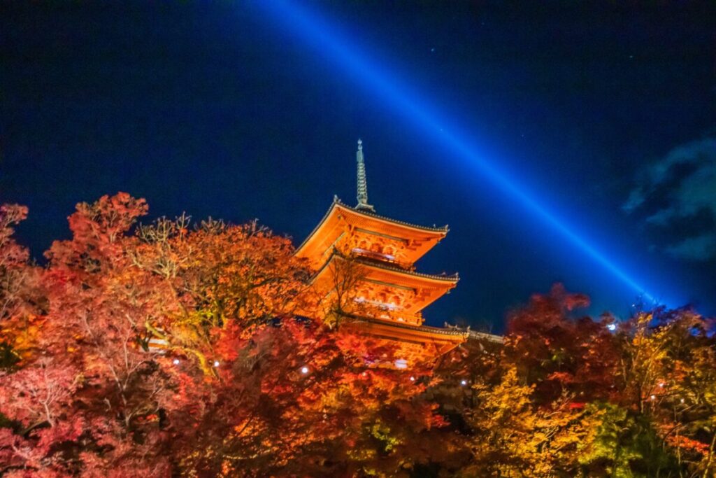 日本が大好きになる図書館 | Fall in love with Japan, Library