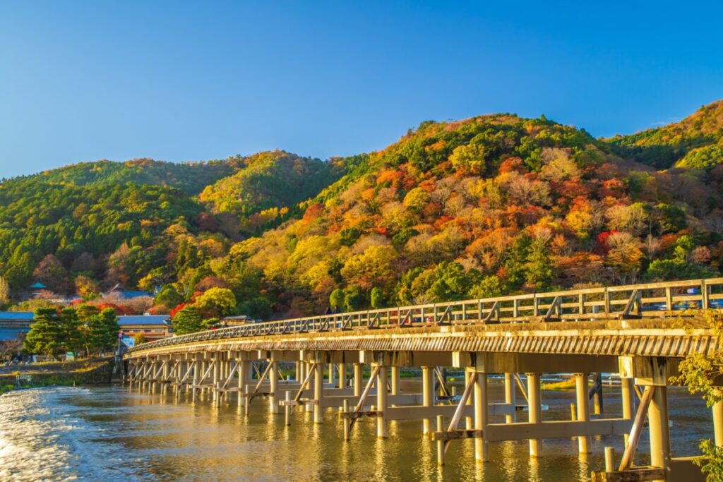 日本が大好きになる図書館 | Fall in love with Japan, Library