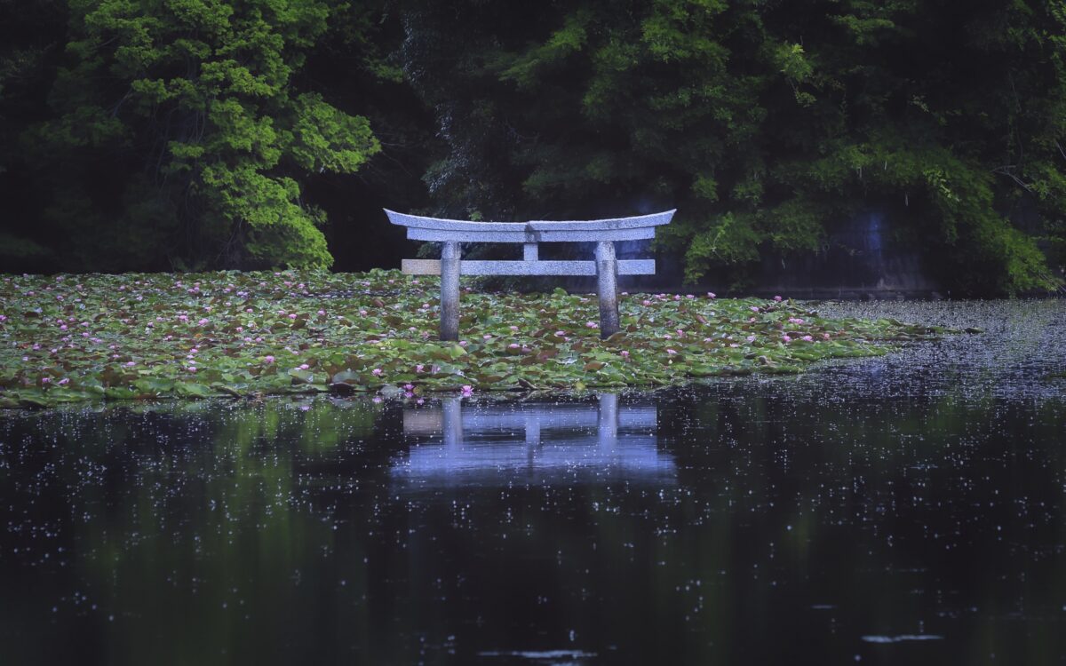 日本が大好きになる図書館 | Fall in love with Japan, Library