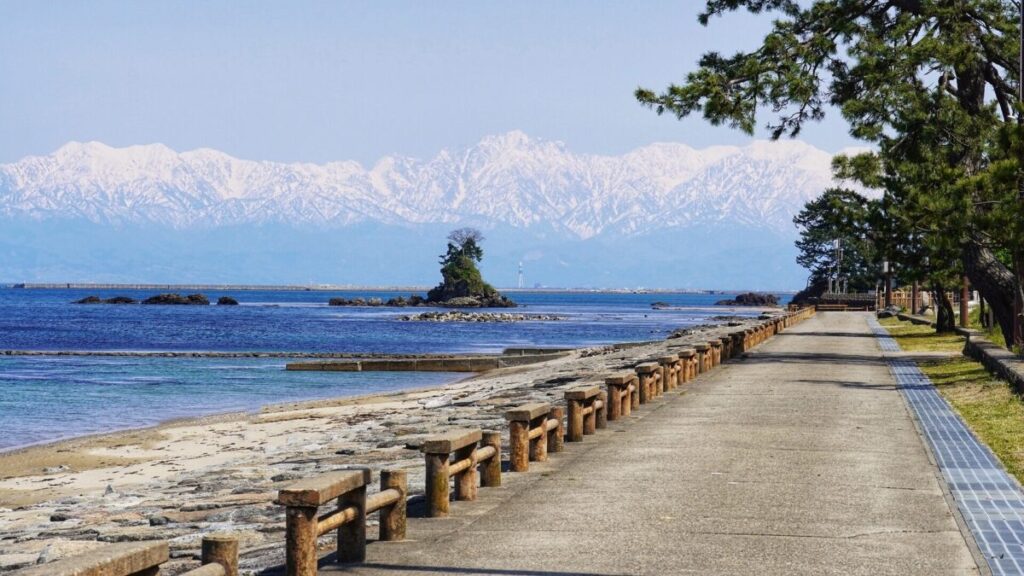 日本が大好きになる図書館 | Fall in love with Japan, Library