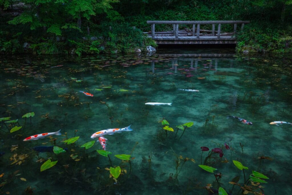 日本が大好きになる図書館 | Fall in love with Japan, Library