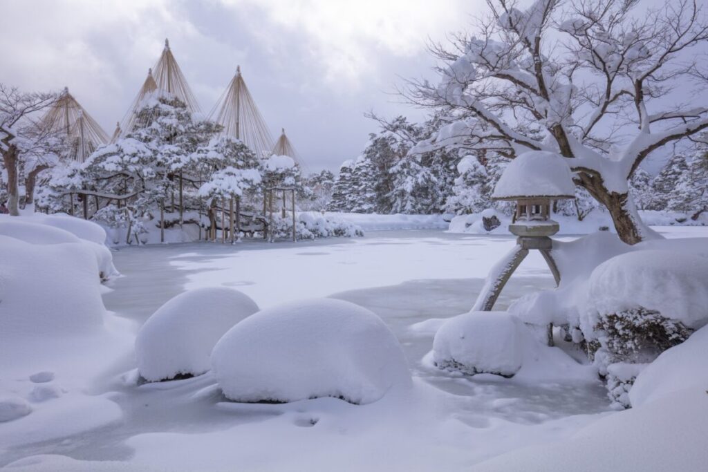 日本が大好きになる図書館 | Fall in love with Japan, Library