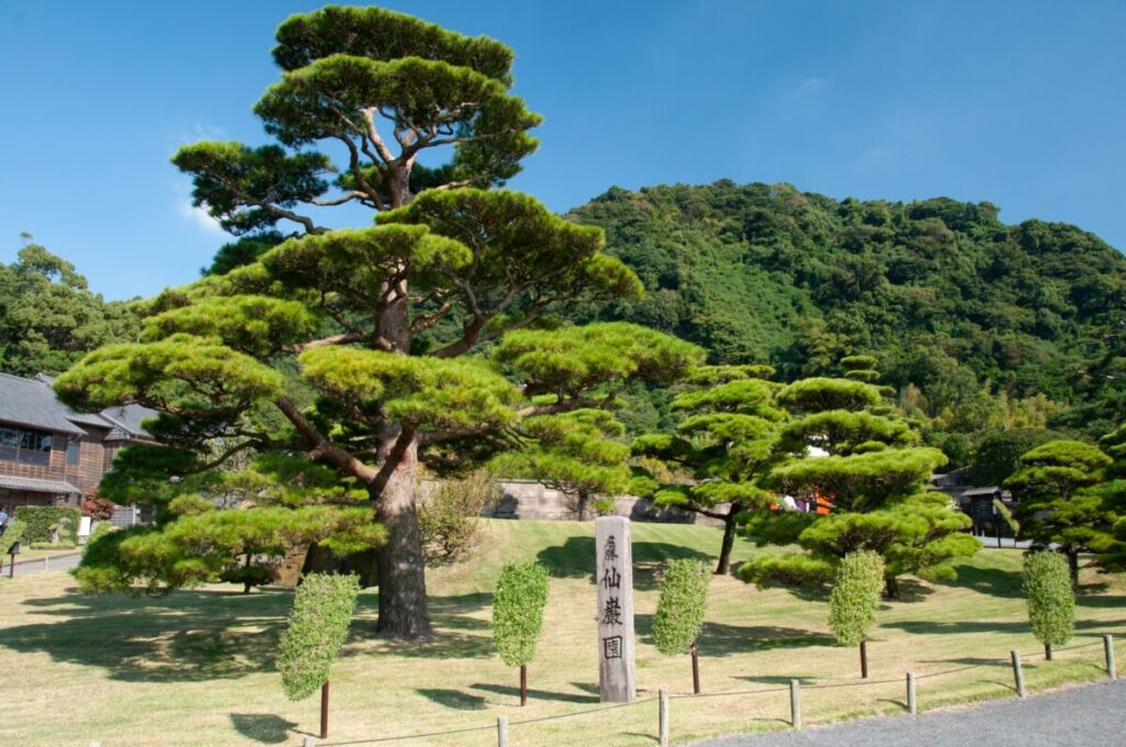 日本が大好きになる図書館 | Fall in love with Japan, Library