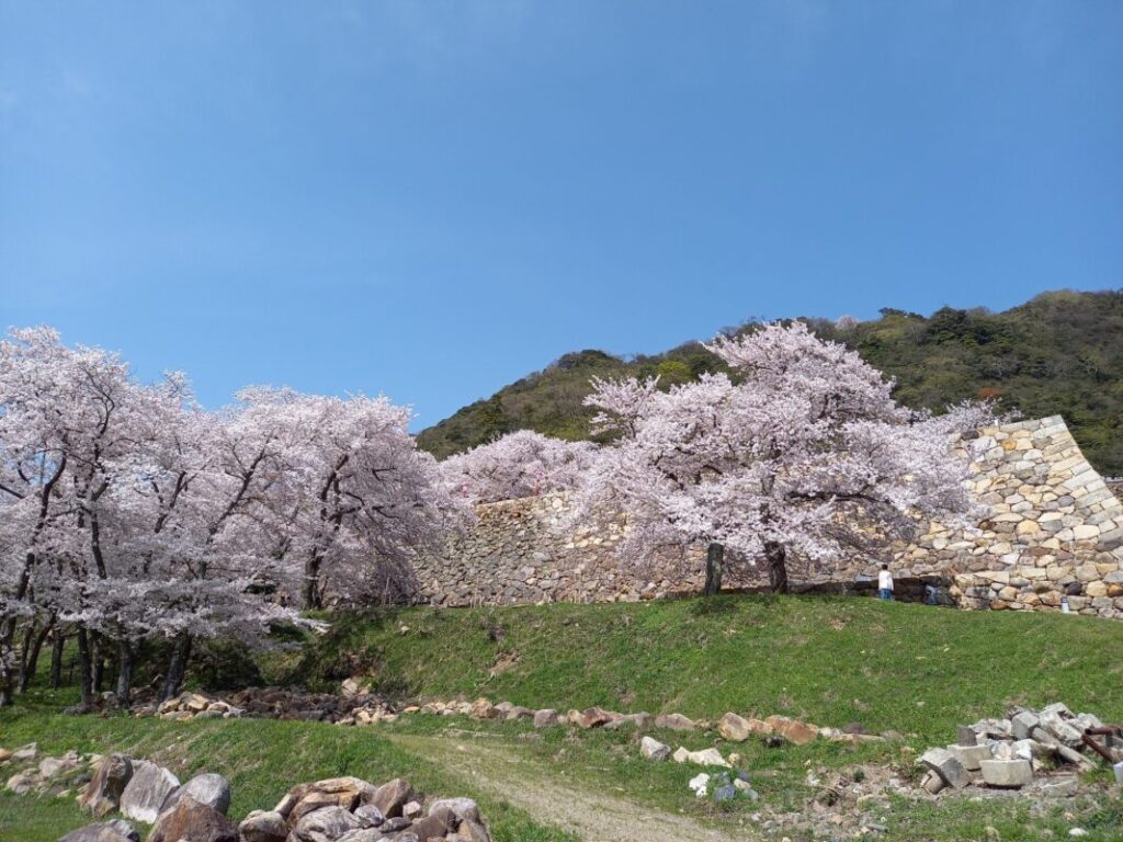 日本が大好きになる図書館 | Fall in love with Japan, Library