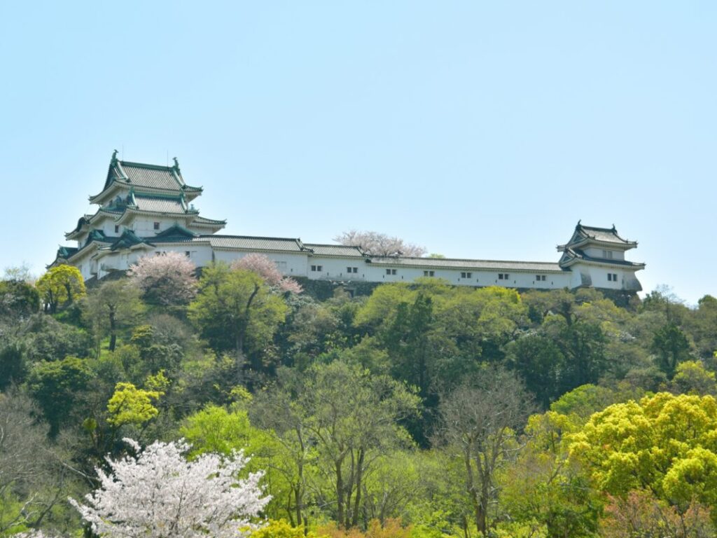 日本が大好きになる図書館 | Fall in love with Japan, Library