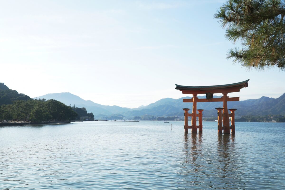 日本が大好きになる図書館 | Fall in love with Japan, Library