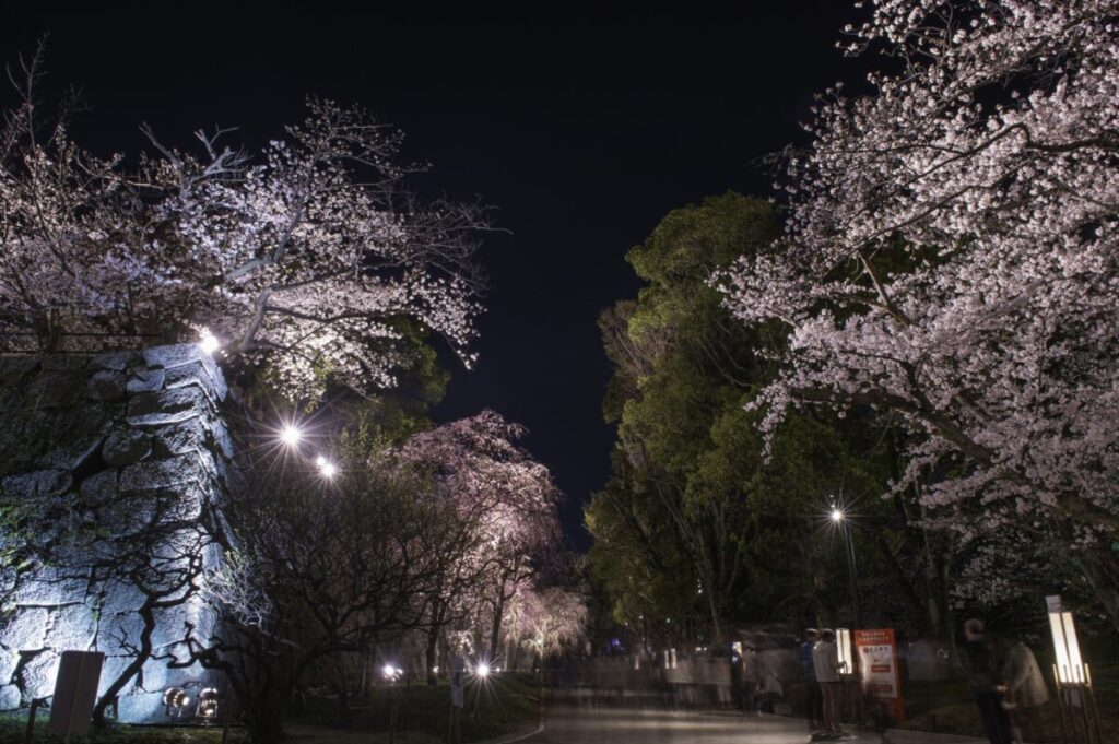 福岡城跡