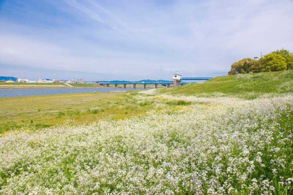 日本が大好きになる図書館 | Fall in love with Japan, Libraryの画像